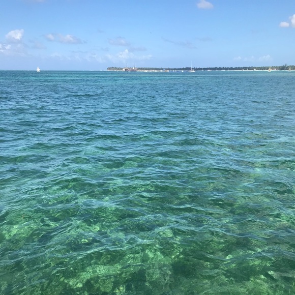 Meet your Posher, Lulu’s Looks! - Picture 2 of 3